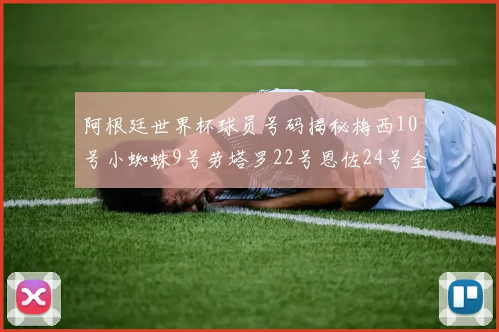 阿根廷世界杯球员号码揭秘梅西10号小蜘蛛9号劳塔罗22号恩佐24号全解析