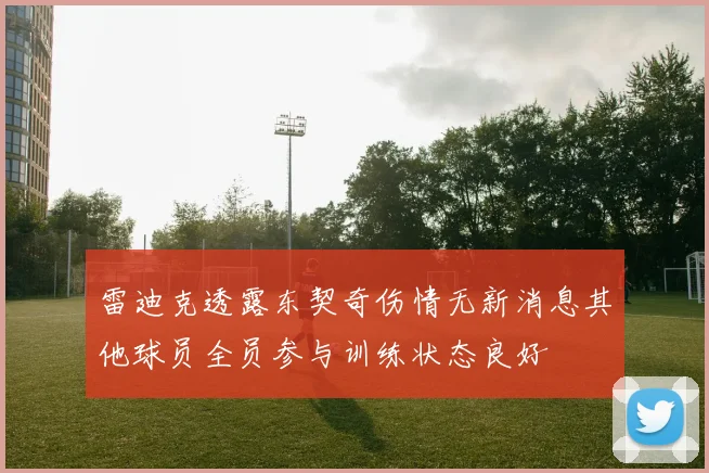 雷迪克透露东契奇伤情无新消息其他球员全员参与训练状态良好