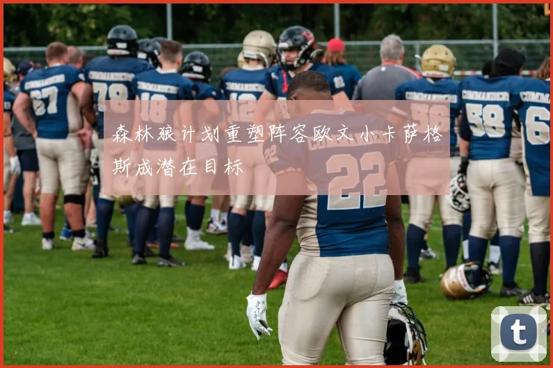 森林狼计划重塑阵容欧文小卡萨格斯成潜在目标